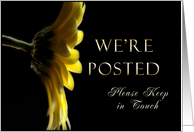 We’re Posted, Please Keep in Touch, Yellow Daisy card