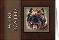 We’re Posted, Brown Dog on Brown Background card