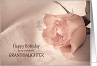 Granddaughter Birthday Card with a Pink Rose card