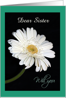 Emerald Border & white Gerbera Daisy Custom Title Flower Girl Invit. card