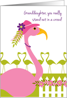 Granddaughter Mother’s Day Fun Pink Flamingo Wearing a Hat card