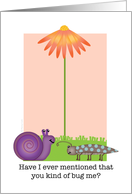 Funny Snail and Bug I Forgive You with Tall Orange Daisy card