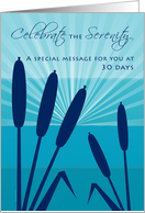 30 Day Anniversary 12 Step Recovery Cattail Reeds Sunrise card