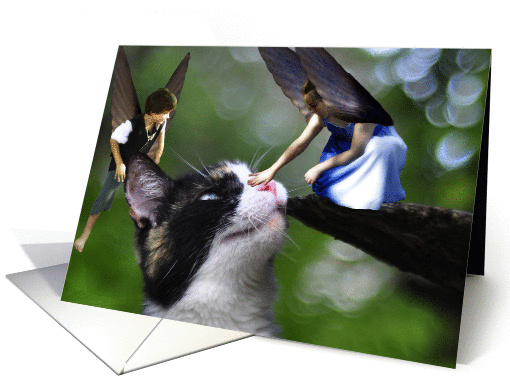 The Fairies and the Kitty Cat card (964623)