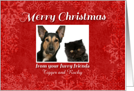 Merry Christmas from your furry friends, dog & cat custom photo & name card