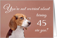 Happy 45th birthday, worried beagle card