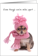 Miles Apart on Valentine’s Day Cute Dog Pink Scarf and Cap card