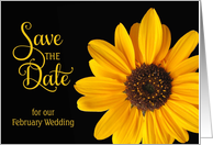 Save the Date, February Wedding Sunflower card
