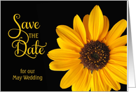 Save the Date, May Wedding Sunflower card