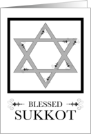 Blessed Sukkot (blank inside) card