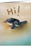 Hello Turtle card