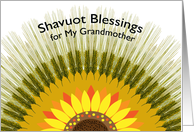 For Grandmother Shavuot Blessings with Barley Sun Design card