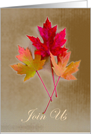 Fall / Autumn Party Invitation, Autumn Leaves card