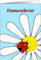 You’re Welcome in Russian with Cute Ladybug on Daisy Flower card