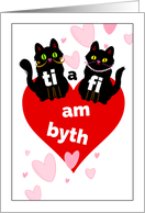 Welsh St Dwynwen’s Day with Cute Black Cat Couple Ti a Fi am Byth card