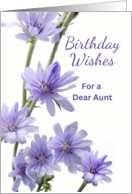 For Aunt Birthday with Violet Colored Chicory Flowers card
