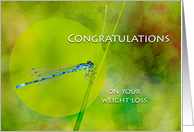 Congratulations on Weight Loss with Damselfly card