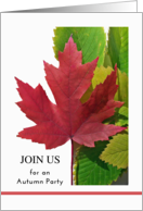 Fall Autumn Season Party Invitation with Red Maple Leaf card