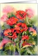 Oriental Poppies card