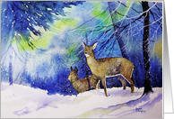 Christmas Deer in the Snow card
