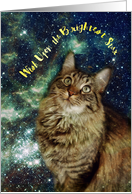 Cat Galaxy Stars Birthday card