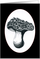 Mushroom 1B card