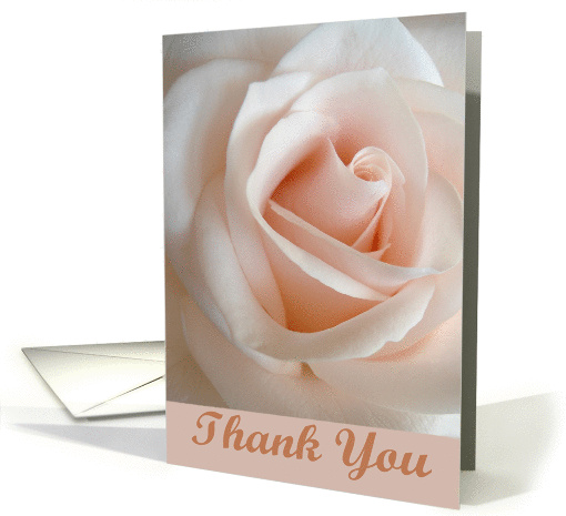 Thank You Pastel Pink Rose card (342443)