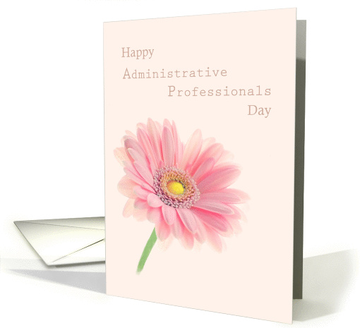 Administrative Professionals Day Pink Gerbera Daisy on Shell Pink card