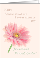 Admin Professionals Day for Personal Assistant Pink Gerbera Daisy card
