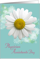 Physician Assistants Day Aqua Daisy Floral for female PA card