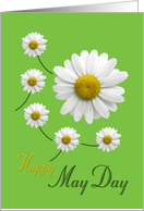 Happy May Day Daisy Design on Spring Green card