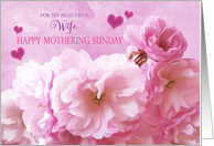 Wife Mothering Sunday Love and Gratitude Pink Cherry Blossoms card
