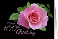100th Birthday Beautiful Classic Pink Rose and Green Leaves card