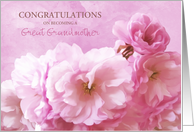 Congratulations Becoming a Great Grandmother Pink Cherry Blossom card