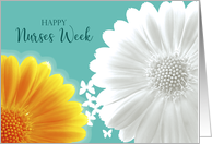 Happy Nurses Week White and Orange Gerbera Daisy card
