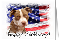 Happy Birthday Pitbull Puppy card