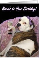 Happy Birthday Olde English bulldogge card
