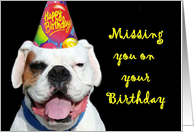 Missing you on your Birthday White Boxer Dog card