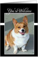 You’re Welcome Welsh Corgi dog card