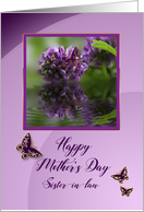 Mother’s Day, Sister In Law, Wisteria Flower and butterflies card