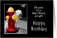 Birthday-Pet-Dog-Firehydrant card