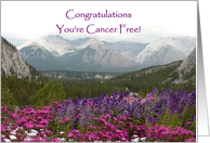 Congrats Cancer Free card