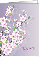 RSVP - Flowers, Cherry blossom card