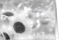 Wedding Invitation Card - silver-white sunflowers. card