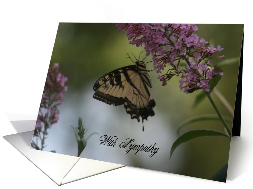 Sympathy Butterfly card (477760)