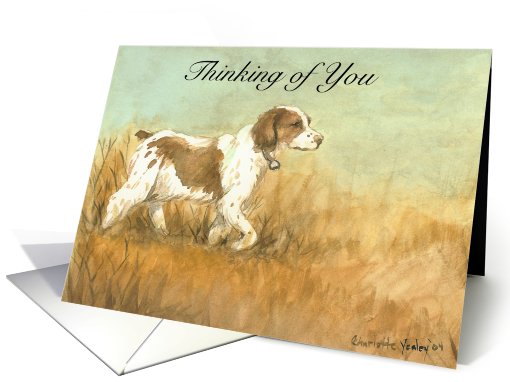 Thinking of You Brittany Spaniel card (480156)