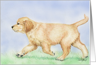 Golden Retriever puppy Birthday card