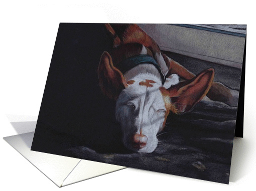 Ibizan Hound Pet Sympathy card (965597)