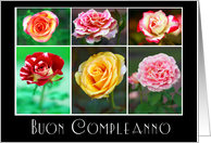 Buon Compleanno Happy Birthday in Italian with Rose Photos card