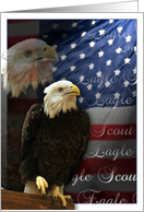Eagle Scout Congratulations with Bald Eagle American Flag Collage card